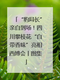 “豹局长”亲自到场！四川攀枝花“自带香味”亮相西博会丨图集