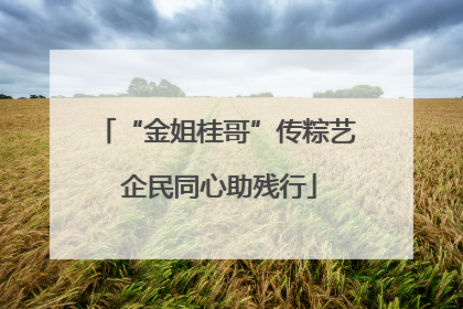 “金姐桂哥”传粽艺 企民同心助残行