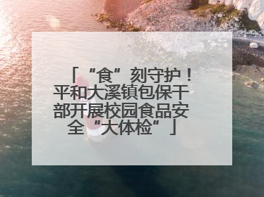 “食”刻守护！平和大溪镇包保干部开展校园食品安全“大体检”