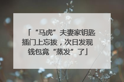 “马虎”夫妻家钥匙插门上忘拔，次日发现钱包竟“蒸发”了