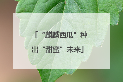 “麒麟西瓜”种出“甜蜜”未来
