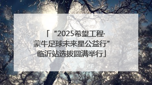 “2025希望工程·蒙牛足球未来星公益行”临沂站选拔圆满举行