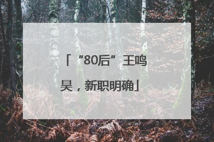 “80后”王鸣昊，新职明确