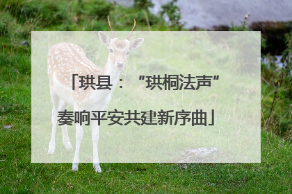 珙县：“珙桐法声”奏响平安共建新序曲