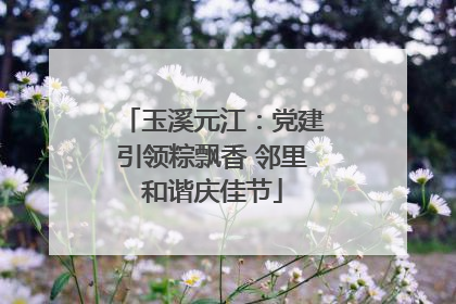 玉溪元江：党建引领粽飘香 邻里和谐庆佳节