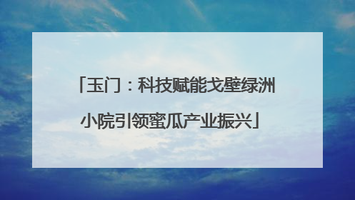 玉门：科技赋能戈壁绿洲 小院引领蜜瓜产业振兴