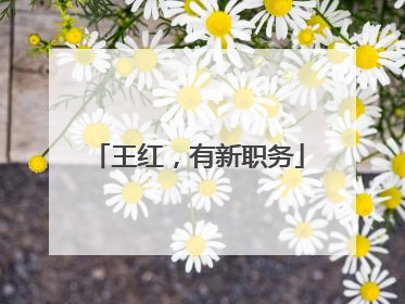 王红，有新职务