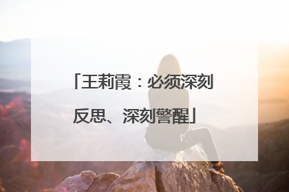王莉霞：必须深刻反思、深刻警醒