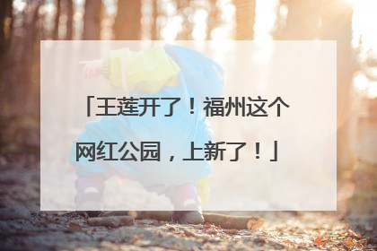 王莲开了！福州这个网红公园，上新了！