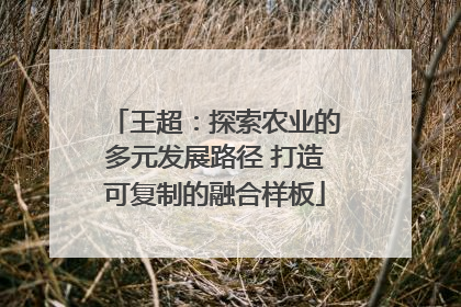王超：探索农业的多元发展路径 打造可复制的融合样板