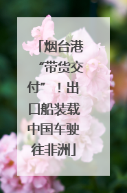 烟台港“带货交付”！出口船装载中国车驶往非洲