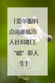 爱尔眼科点亮娄底市人社局职工“睛”彩人生