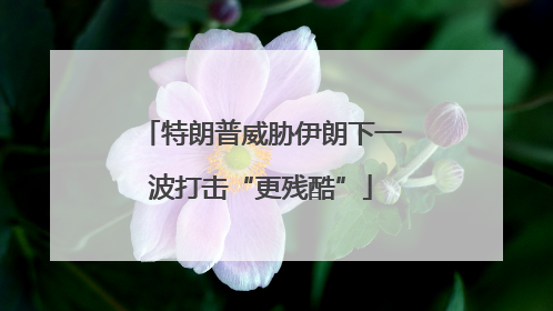 特朗普威胁伊朗下一波打击“更残酷”