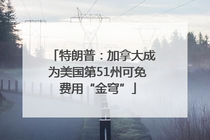 特朗普：加拿大成为美国第51州可免费用“金穹”