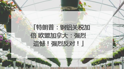 特朗普：钢铝关税加倍 欧盟加拿大：强烈遗憾！强烈反对！