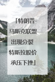 特朗普-马斯克联盟出现分裂 特斯拉股价承压下挫