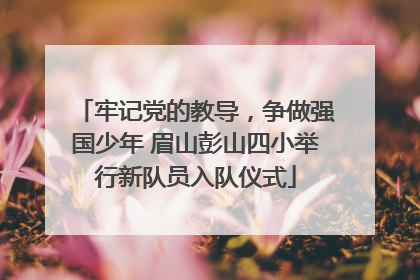 牢记党的教导，争做强国少年 眉山彭山四小举行新队员入队仪式
