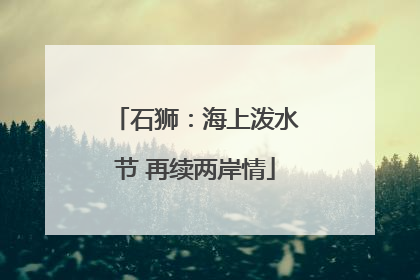 石狮：海上泼水节 再续两岸情