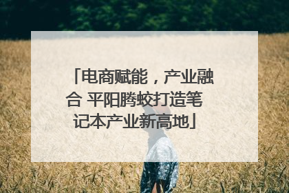 电商赋能，产业融合 平阳腾蛟打造笔记本产业新高地