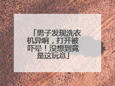 男子发现洗衣机异响，打开被吓晕！没想到竟是这玩意