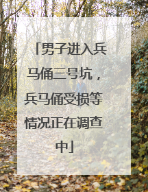 男子进入兵马俑三号坑，兵马俑受损等情况正在调查中