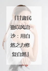 甘肃民勤以风治沙：用自然之力修复自然