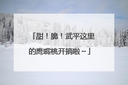 甜！脆！武平这里的鹰嘴桃开摘啦～