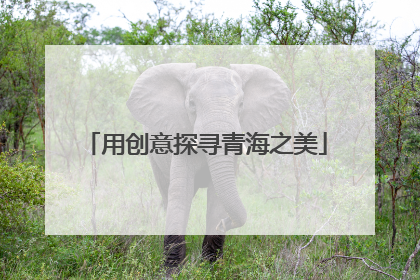 用创意探寻青海之美