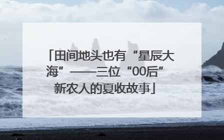 田间地头也有“星辰大海”——三位“00后”新农人的夏收故事