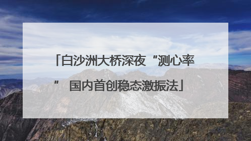 白沙洲大桥深夜“测心率” 国内首创稳态激振法