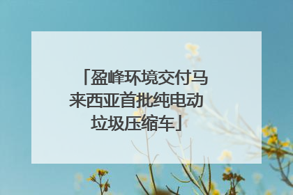 盈峰环境交付马来西亚首批纯电动垃圾压缩车