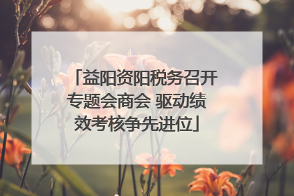 益阳资阳税务召开专题会商会 驱动绩效考核争先进位