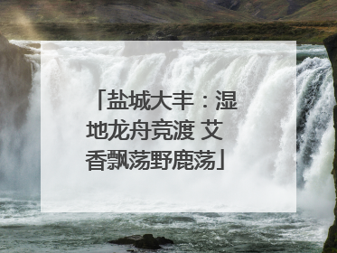 盐城大丰：湿地龙舟竞渡 艾香飘荡野鹿荡