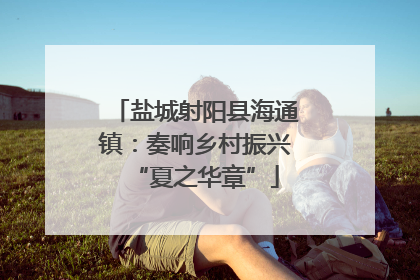 盐城射阳县海通镇：奏响乡村振兴“夏之华章”