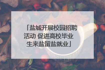 盐城开展校园招聘活动 促进高校毕业生来盐留盐就业