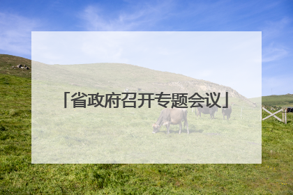 省政府召开专题会议