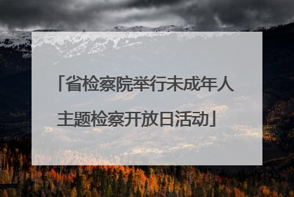 省检察院举行未成年人主题检察开放日活动