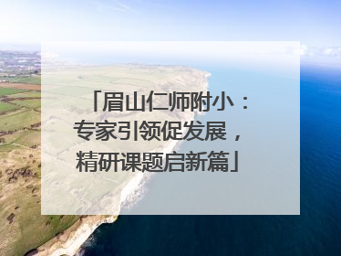 眉山仁师附小：专家引领促发展，精研课题启新篇