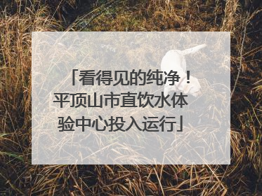 看得见的纯净!平顶山市直饮水体验中心投入运行