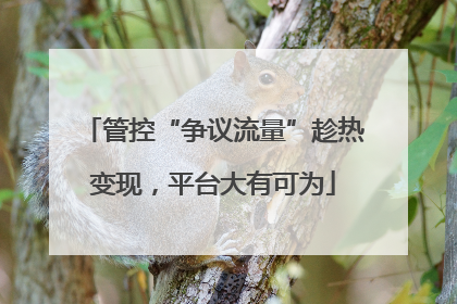 管控“争议流量”趁热变现，平台大有可为