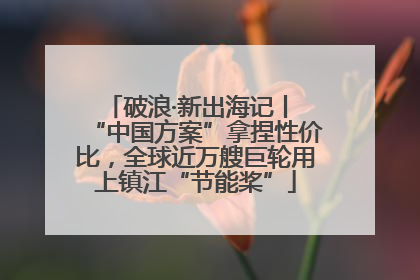 破浪·新出海记丨 “中国方案”拿捏性价比，全球近万艘巨轮用上镇江“节能桨”