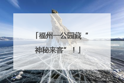 福州一公园藏“神秘来客”！