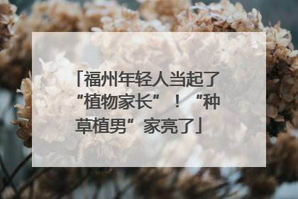 福州年轻人当起了“植物家长”！“种草植男”家亮了