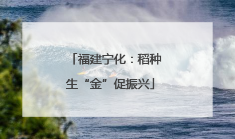 福建宁化：稻种生“金”促振兴