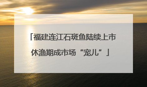 福建连江石斑鱼陆续上市 休渔期成市场“宠儿”