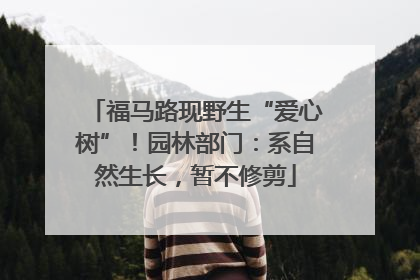 福马路现野生“爱心树”！园林部门：系自然生长，暂不修剪