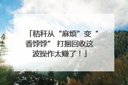秸秆从“麻烦”变“香饽饽” 打捆回收这波操作太赚了！
