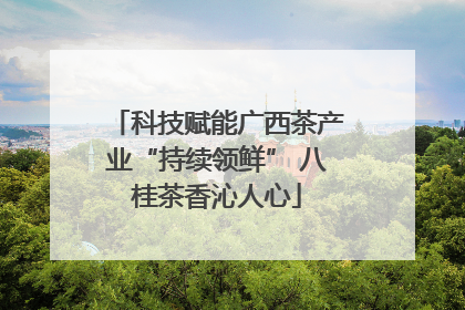 科技赋能广西茶产业“持续领鲜” 八桂茶香沁人心