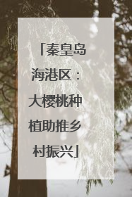 秦皇岛海港区：大樱桃种植助推乡村振兴