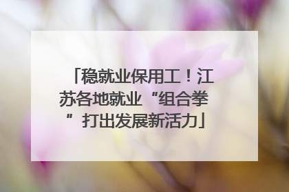 稳就业保用工！江苏各地就业“组合拳”打出发展新活力